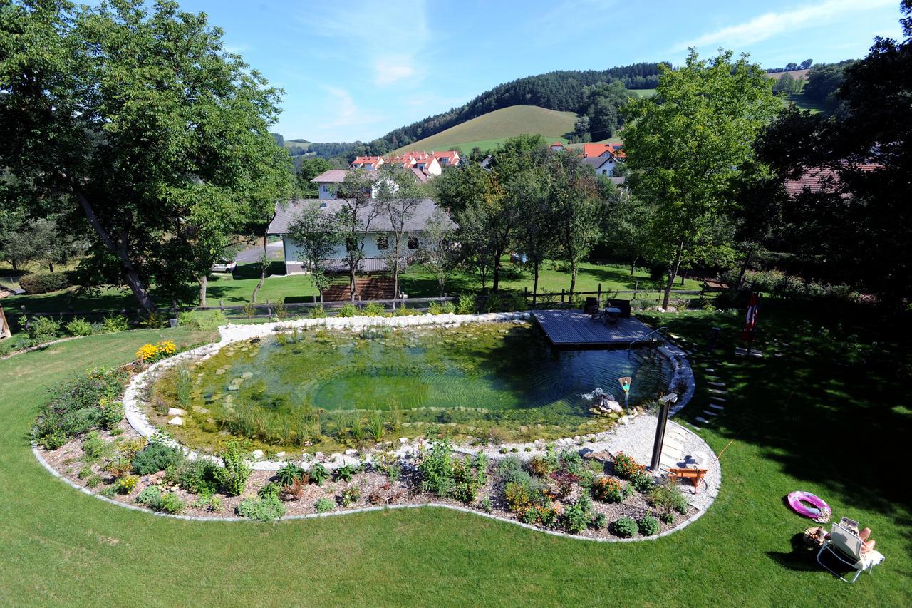 Hotel Geier Bad Schönau Esterno foto