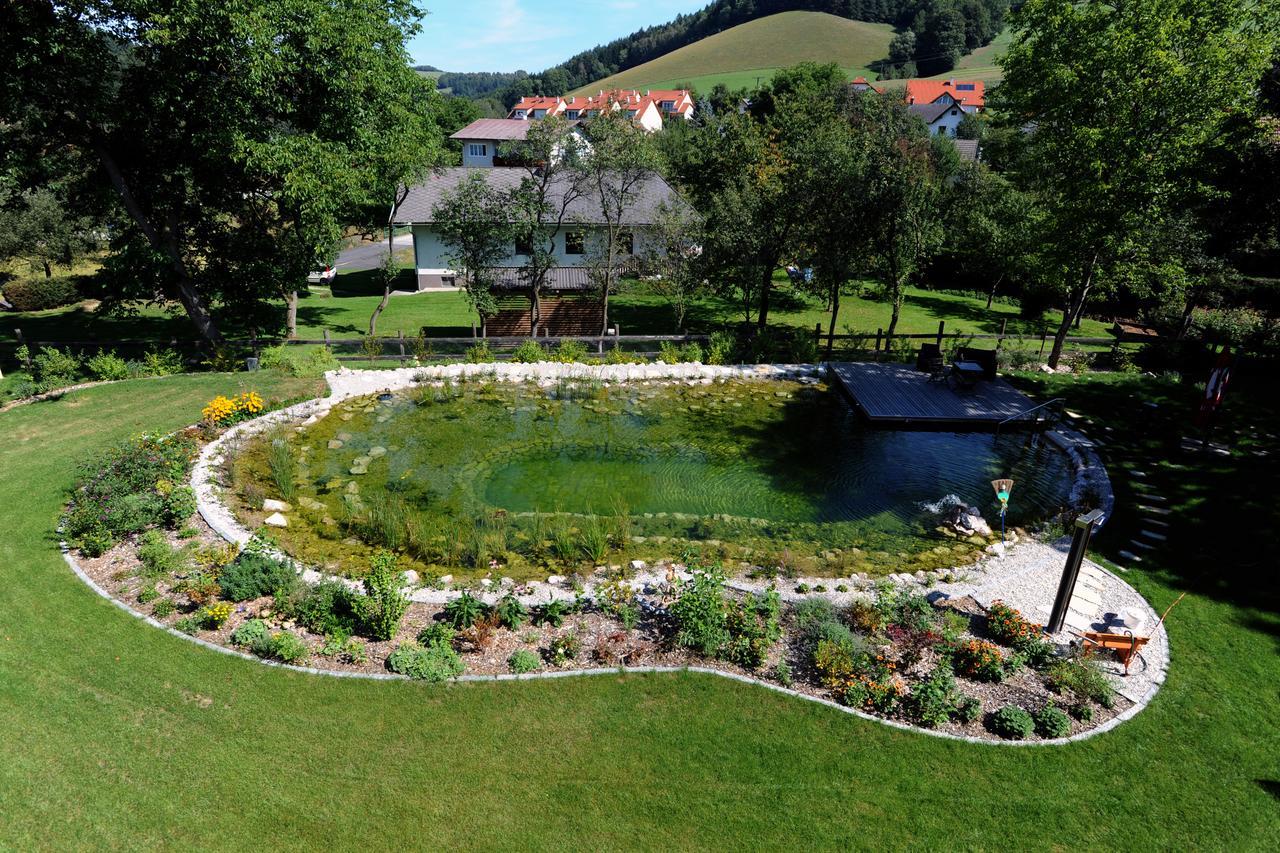 Hotel Geier Bad Schönau Esterno foto